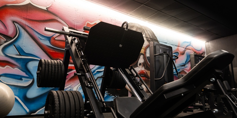 ALPHA AP FITNESS
